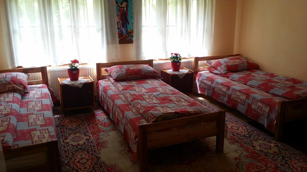 Etno Domacinstvo Saponjic Hotel Nova Varos Ngoại thất bức ảnh